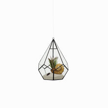 Lade das Bild in den Galerie-Viewer, Hängetopf – Glashaus, Diamant
