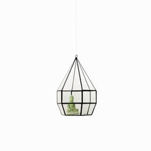 Lade das Bild in den Galerie-Viewer, Hängetopf - mini Terrarium -  Die Zwiebel
